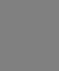 rob_gibson_web_site003021.gif